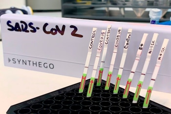 Fotografía del pasado 22 de