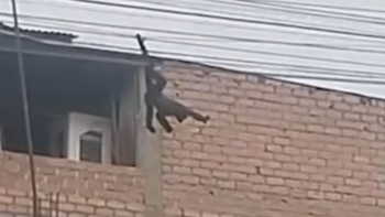 Un mono fue visto desplazándose por cables y techos de viviendas en Los Álamos de Canto Grande, en San Juan de Lurigancho - Créditos: Captura de pantalla de Panamericana TV.