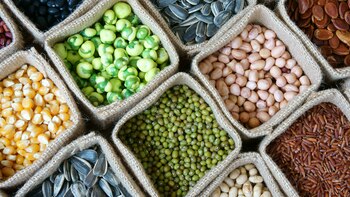 “En el conjunto de los