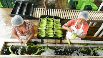 La justicia francesa niega validar
