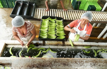 Abogados de ex recolectores atribuyen