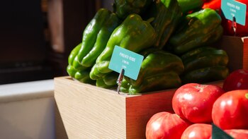 Ser vegetariano puede estar escrito,