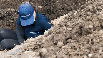 La JEP reportó 9 nuevos