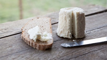 En México, el queso Pule