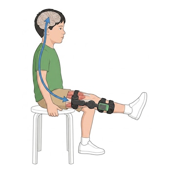 Ilustración de niño sentado, estirando pierna derecha con exoesqueleto robótico negro y detalle verde. Una flecha azul curva conecta el muslo con el cerebro.