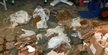 Europol revela un sofisticado modelo