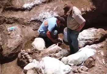 El Instituto Hondureño de Antropología e Historia participa en las labores de investigación y conservación del yacimiento. (Foto: Cortesía)