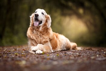 El declive relacionado con la