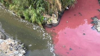 Río Las Vacas teñido de rojo en Guatemala: suspenden a empresa y activan peritajes para determinar responsabilidad