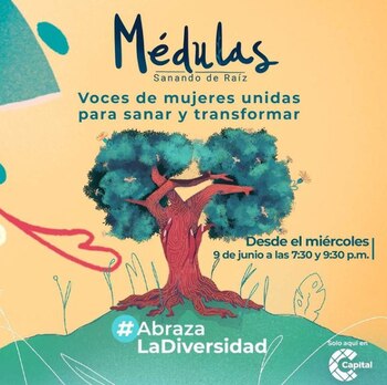 Médulas Sanando De Raíz es la serie documental animada que narra las experiencias de 20 mujeres víctimas de violencia de género, la discriminación e inequidad. - Cortesía.