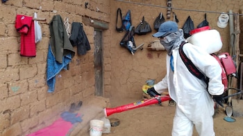 Uta en Perú: Minsa deberá