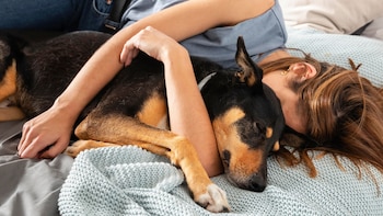 La mayoría de las personas