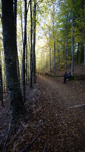 Imagen de la ruta das