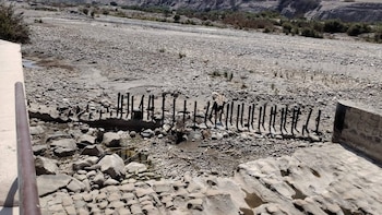 Más de 10 mil hectáreas