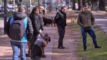 Un perro de la Policía