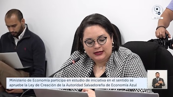 Para ampliar más detalles de