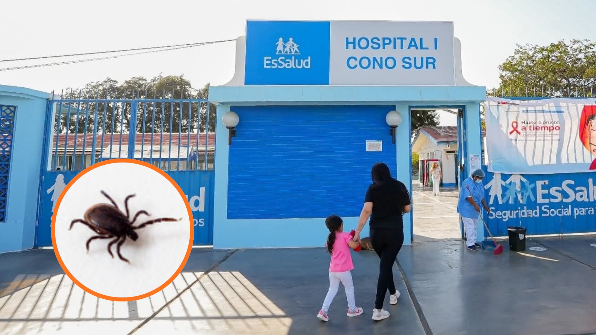 Una garrapata fue encontrada en la cama de la paciente Marilyn Sagata Ríos en el Hospital Uno del Cono Sur de EsSalud, Nuevo Chimbote, generando indignación por las condiciones de higiene del centro médico (Foto: Composición Infobae Perú / Referencial) (Foto: Composición Infobae Perú)