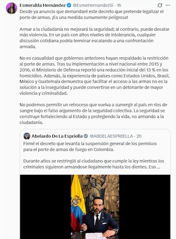 Esmeralda Hernández señaló que la medida impulsada por el Ejecutivo podría aumentar los índices de violencia en todo el país - crédito @EsmeHernandezSi/X
