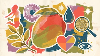 7 beneficios del mango para la salud y por qué gana lugar en la alimentación