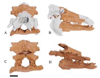 Mediante técnicas avanzadas en Blender,