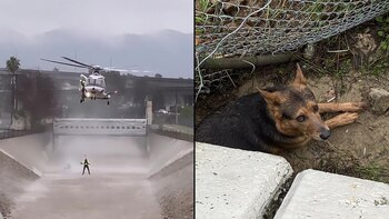 Los Air Ops del LAFD