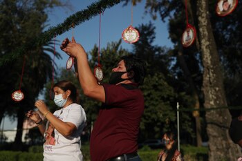 Entre tanto dolor, tanto ellas
