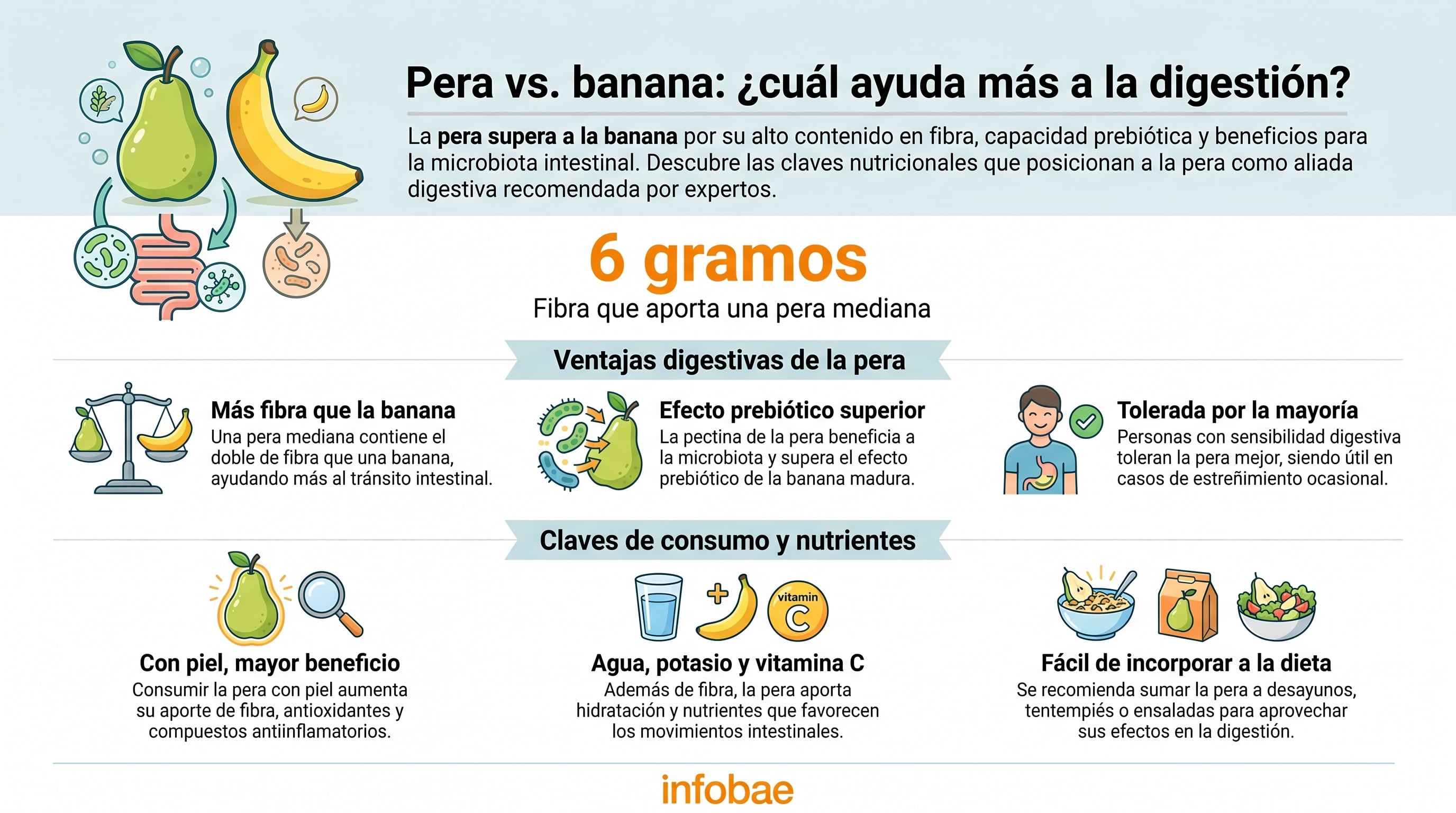Infografía detalla del aporte de fibra, polifenoles y flavonoides de la piel de la pera (Imagen Ilustrativa Infobae)