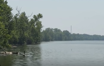 Vista de un río con árboles en sus orillas. En la distancia se observa una torre de alta tensión y un cielo despejado. Flotan troncos en primer plano