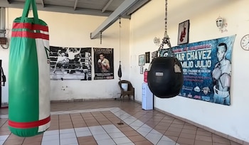 Un gimnasio interior con sacos de boxeo colgados, piso de baldosas y carteles de boxeo en la pared