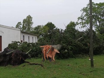 Destrozos en Paysandú (@Estacion_bcp)