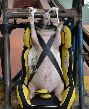 (International Journal of Crashworthiness)