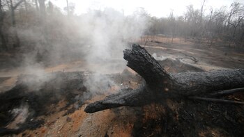 Incendios devastan casi 2 millones