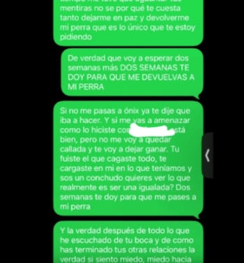 Luisa Fernanda Ruiz afirmó que su expareja le secuestró a su mascota - créditos @luisafernandaruiz__/IG