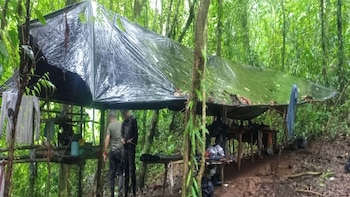 Costa Rica: el lado oscuro del oro y la metamorfosis criminal en el Parque Nacional Corcovado