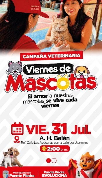 Los especialistas brindarán orientación sobre alimentación adecuada, cuidado de mascotas y prevención de enfermedades que pueden afectar a perros y otros animales de compañía - Créditos: Municipalidad de Puente Piedra.