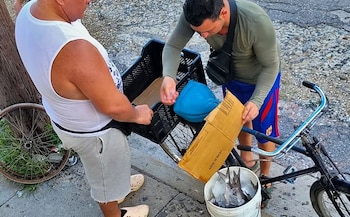Food Monitor Program, pesca, Cuba