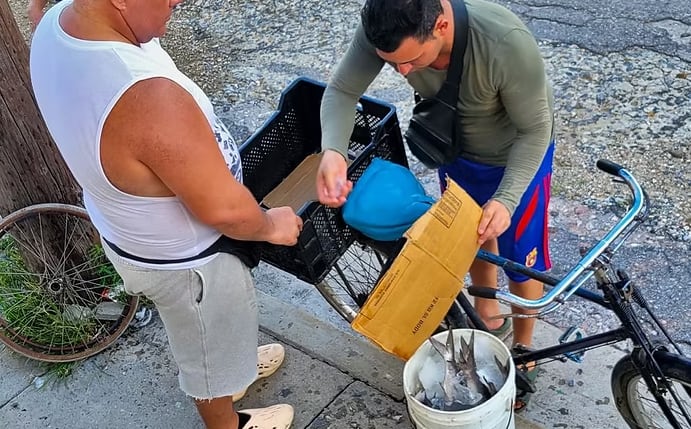 La captura bruta de productos pesqueros en Cuba descendió de 46.386 toneladas en 2020 a 22.330 toneladas en 2024. (Cortesía: Food Monitor Program)