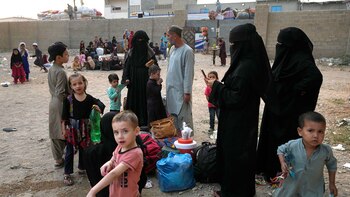 Las agencias de la ONU