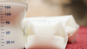 El gobierno se comprometió a