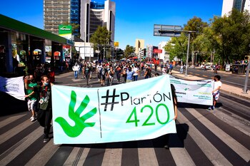 Activistas del Movimiento Cannábico Mexicano