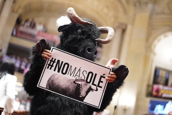 El Decreto 703 reglamenta la Ley No Más Olé y fija la prohibición total de la tauromaquia en Colombia para 2027 - crédito Senado de la República