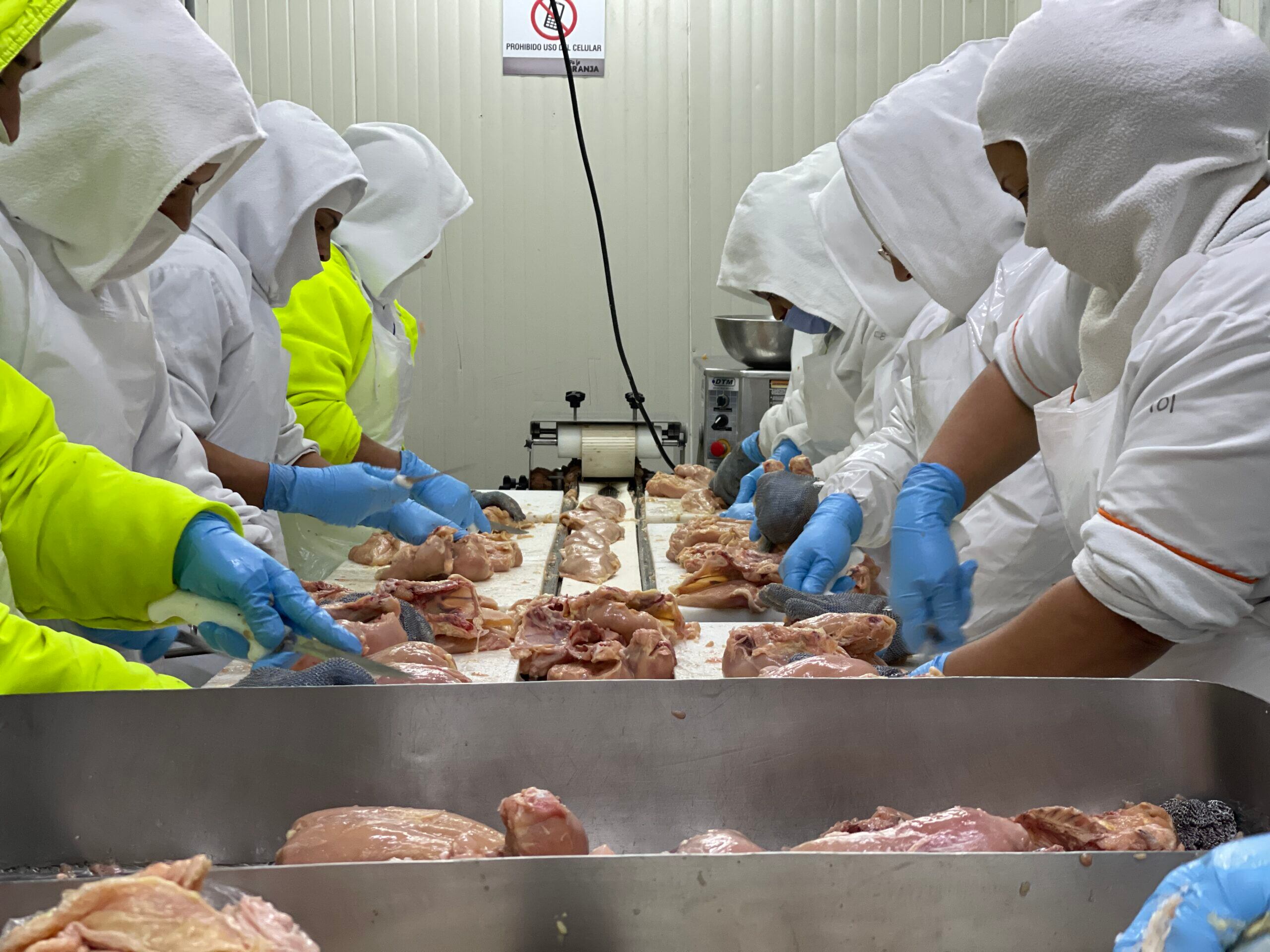 Cómo cambian los contratos y los salarios de los trabajadores con la Reforma Laboral: tiktoker hizo curiosa explicación