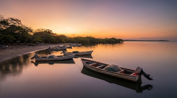 Varias pangas de pesca con motores fueraborda flotan en aguas tranquilas al amanecer, reflejando un cielo naranja y púrpura junto a una costa arbolada.