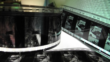 Imagen de refrencia: Pixabay