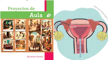 Actividades solicitas en libros de