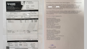 Los documentos oficiales registran solicitudes de traslado para 190 vacas, el expediente judicial analiza la validez de esas guías