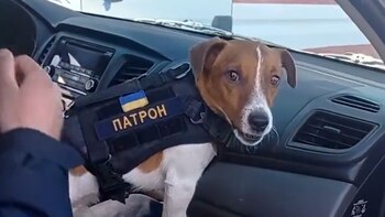 Patrón preparándose para realizar sus