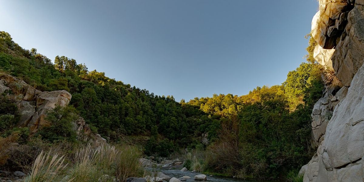 La Reserva Nacional Río Clarillo también forma parte de las áreas en proceso de certificación por Quiet Parks International (Wikipedia)