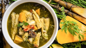 El bambú puede ofrecer beneficios