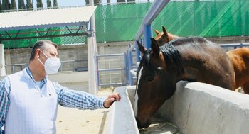 La producción del suero será